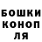 ГАШ гарик Turin Horse