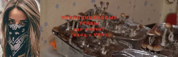 МДМА Богданович