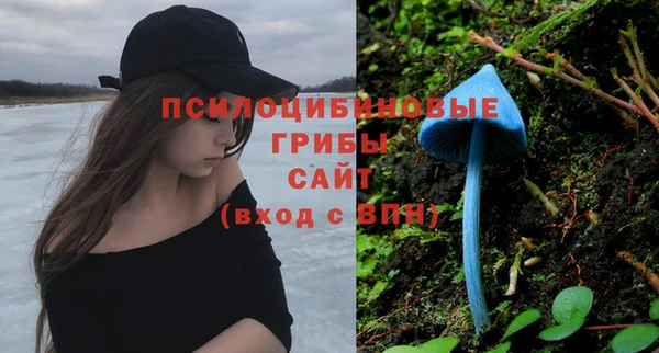 МДМА Богданович