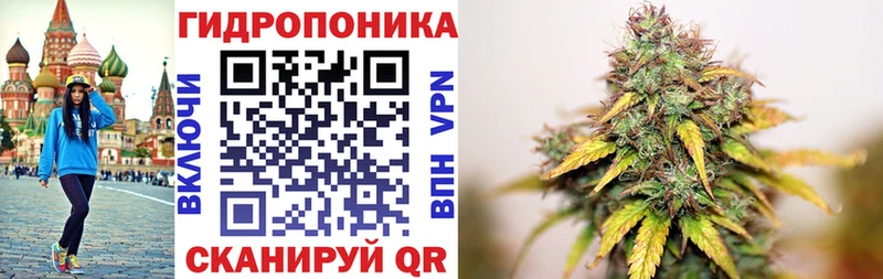 Бошки Шишки ГИДРОПОН  маркетплейс какой сайт  Долгопрудный 